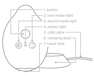 Minna Limon Diagram