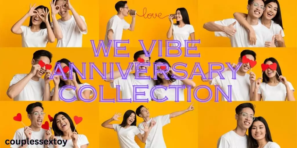 We Vibe Anniversary Collection featuring Sync and Tango vibrators in travel case